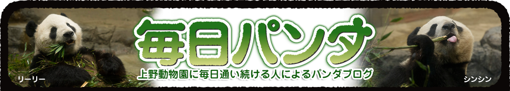 毎日パンダ 上野動物園に毎日通い続ける人によるパンダブログ