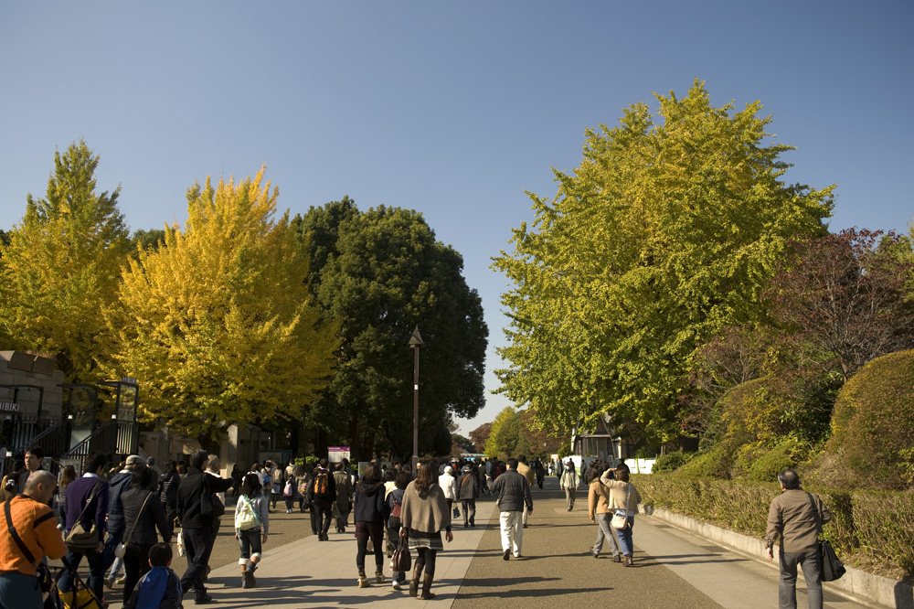 紅葉の上野公園