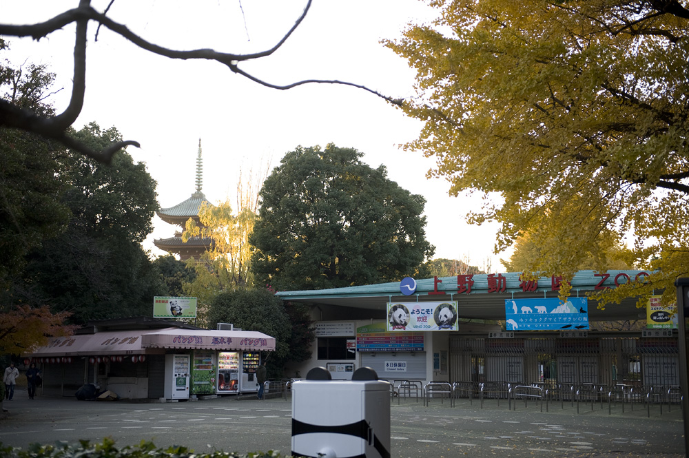 上野動物園休園日