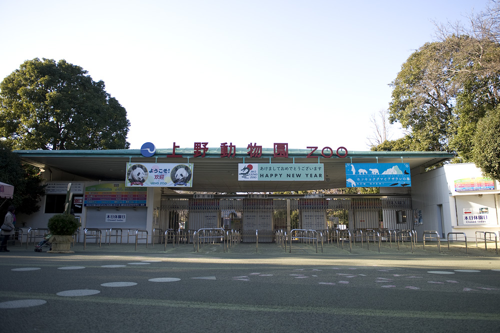 上野動物園 本日休園