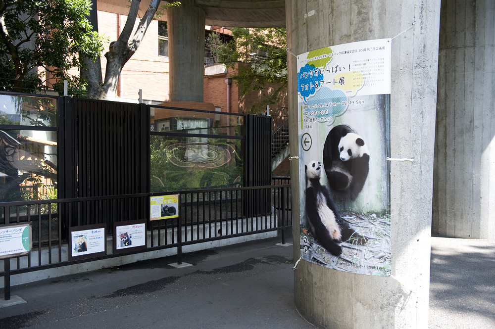 「パンダがいっぱい！フォト＆アート展」
