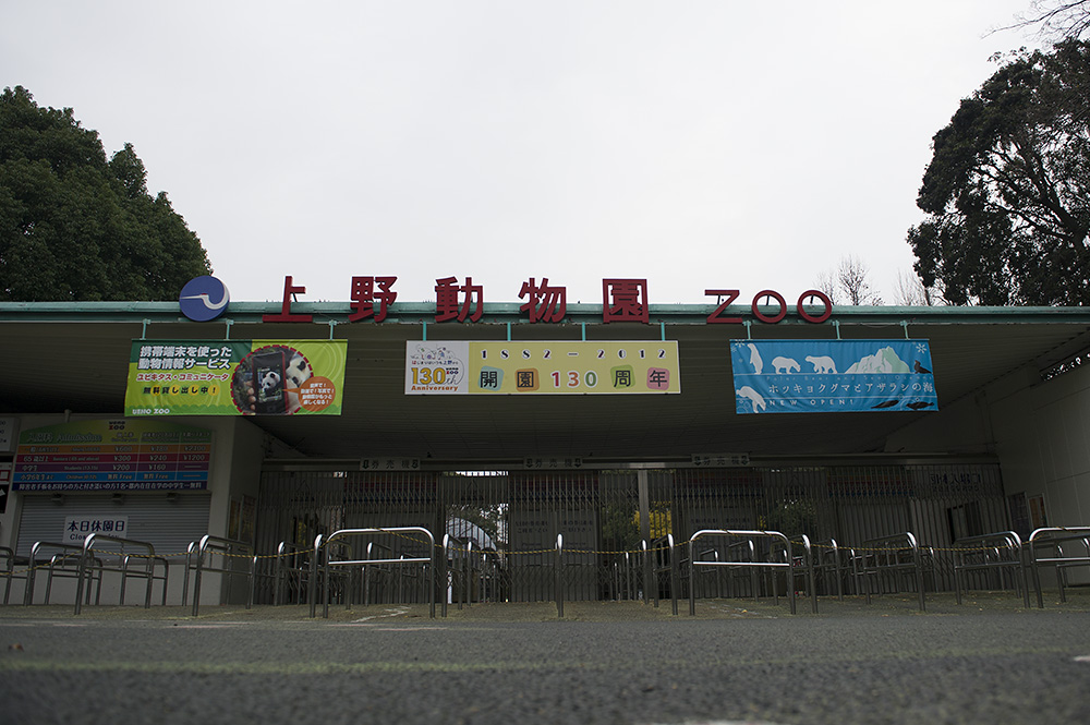 上野動物園　休園日