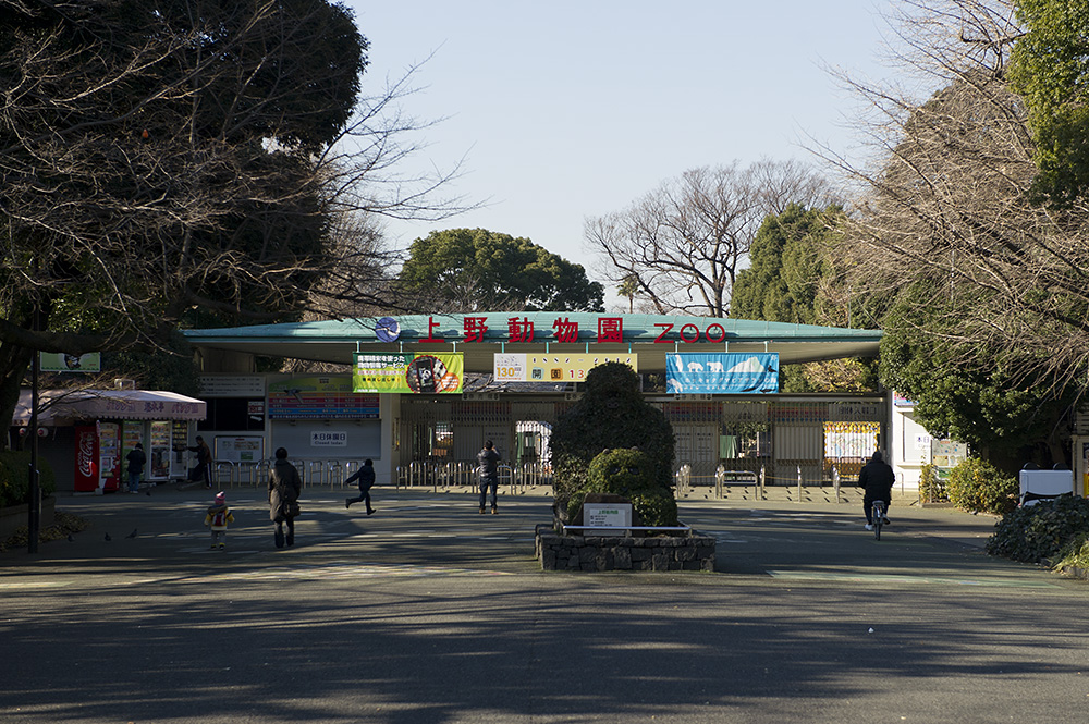 上野動物園 休園日