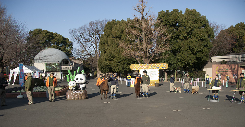 上野動物園のお正月