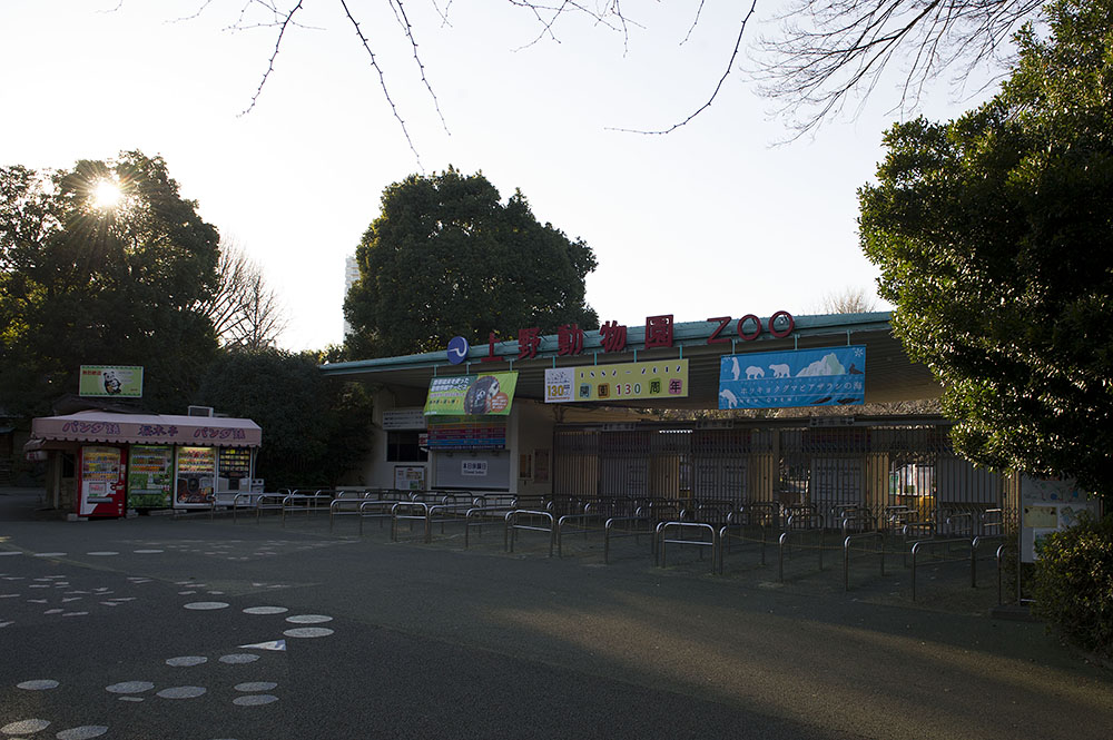 上野動物園 表門