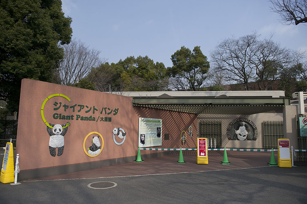 上野動物園 ジャイアントパンダ非公開