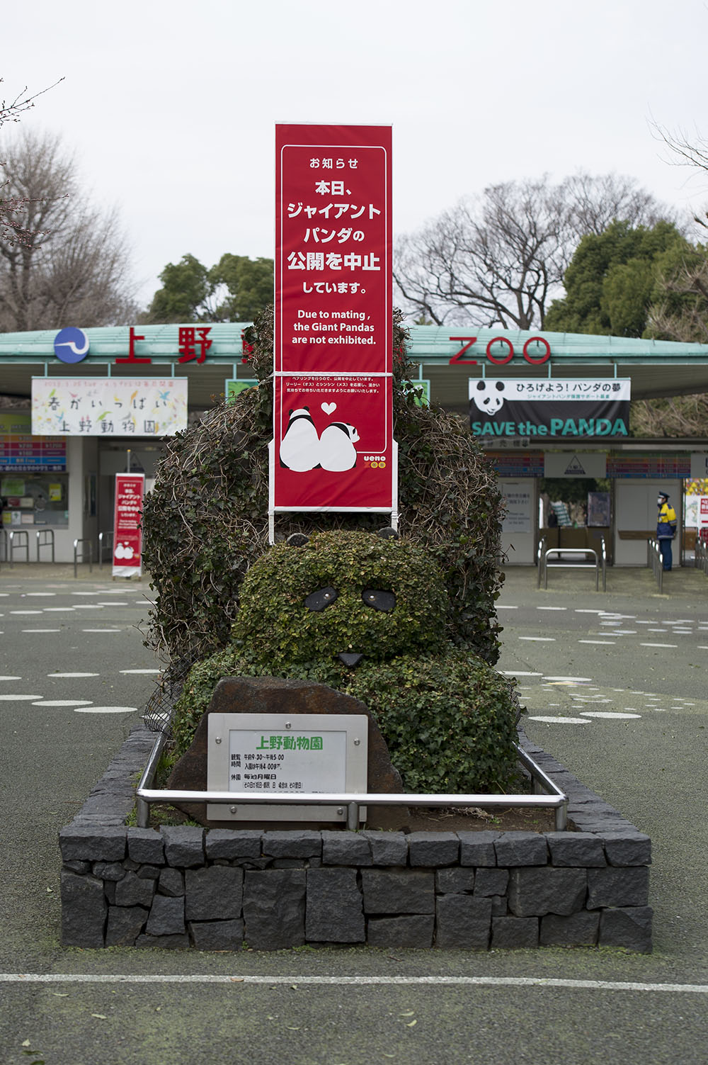 上野動物園 ジャイアントパンダ 非公開