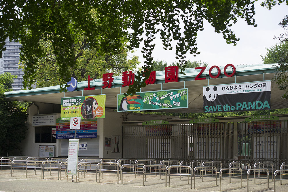 上野動物園 休園日