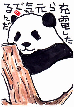 トピック 毎日絵手紙 パンダも描きます