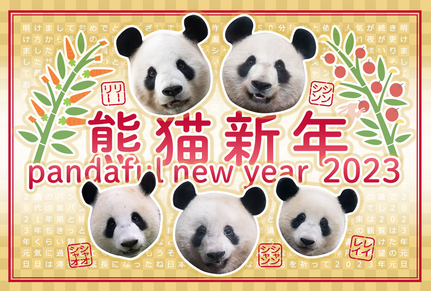 熊猫新年